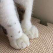 りま くりーむぱん🥐🐱 厚木人妻城