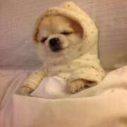 りま ぐんないっ🐑💤 厚木人妻城