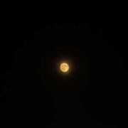 ヒメ日記 2025/09/09 10:50 投稿 ゆうか 彼女の部屋本店