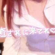 ヒメ日記 2025/04/05 11:06 投稿 れい ぼいんWORK