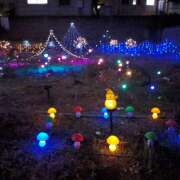 ヒメ日記 2025/03/11 21:06 投稿 林幸 五十路マダム　和歌山店