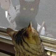 ヒメ日記 2025/03/12 09:08 投稿 林幸 五十路マダム　和歌山店