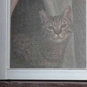 ヒメ日記 2025/03/13 09:12 投稿 林幸 五十路マダム　和歌山店