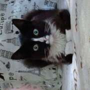 ヒメ日記 2025/03/14 12:26 投稿 林幸 五十路マダム　和歌山店