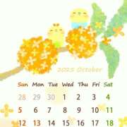 ヒメ日記 2025/10/02 04:04 投稿 林幸 五十路マダム　和歌山店