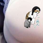 ヒメ日記 2026/02/06 08:24 投稿 林幸 五十路マダム　和歌山店