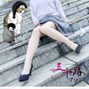 ヒメ日記 2026/02/12 14:30 投稿 林幸 五十路マダム　和歌山店