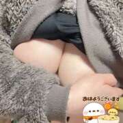 ヒメ日記 2026/02/20 08:38 投稿 林幸 五十路マダム　和歌山店