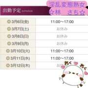 ヒメ日記 2026/03/06 14:40 投稿 林幸 五十路マダム　和歌山店