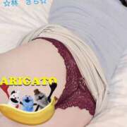 ヒメ日記 2026/03/27 08:56 投稿 林幸 五十路マダム　和歌山店