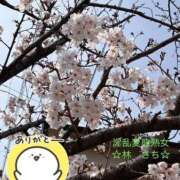 ヒメ日記 2026/03/28 16:10 投稿 林幸 五十路マダム　和歌山店