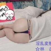 ヒメ日記 2026/03/28 20:56 投稿 林幸 五十路マダム　和歌山店