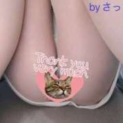 ヒメ日記 2026/04/08 22:54 投稿 林幸 五十路マダム　和歌山店