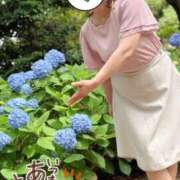 ヒメ日記 2026/06/12 19:58 投稿 林幸 五十路マダム　和歌山店
