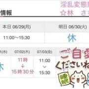 ヒメ日記 2026/06/29 14:46 投稿 林幸 五十路マダム　和歌山店