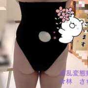 ヒメ日記 2026/07/02 20:22 投稿 林幸 五十路マダム　和歌山店
