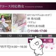 ヒメ日記 2026/10/11 12:42 投稿 林幸 五十路マダム　和歌山店