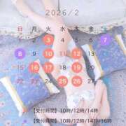 ヒメ日記 2026/01/23 20:22 投稿 永山りの オペラ(吉原)