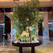 ヒメ日記 2025/09/09 10:19 投稿 椿 梨奈 ELEGANCE