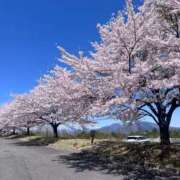 ヒメ日記 2026/04/13 23:01 投稿 椿 梨奈 ELEGANCE