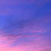 ヒメ日記 2026/05/15 07:56 投稿 椿 梨奈 ELEGANCE