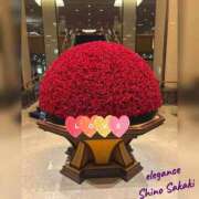 ヒメ日記 2025/11/14 13:29 投稿 榊 志乃 ELEGANCE