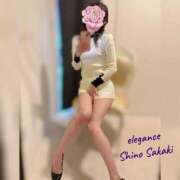 ヒメ日記 2025/11/16 14:19 投稿 榊 志乃 ELEGANCE