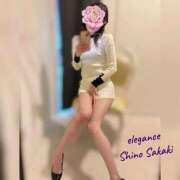 ヒメ日記 2025/11/16 14:39 投稿 榊 志乃 ELEGANCE