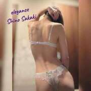 ヒメ日記 2025/11/20 16:19 投稿 榊 志乃 ELEGANCE