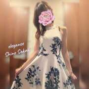 ヒメ日記 2025/11/24 12:06 投稿 榊 志乃 ELEGANCE