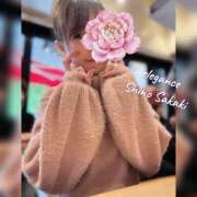 ヒメ日記 2025/11/24 21:19 投稿 榊 志乃 ELEGANCE