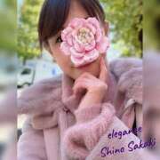 ヒメ日記 2025/11/26 08:09 投稿 榊 志乃 ELEGANCE