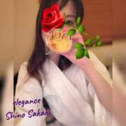 ヒメ日記 2025/12/01 14:29 投稿 榊 志乃 ELEGANCE