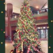 ヒメ日記 2025/12/24 15:58 投稿 榊 志乃 ELEGANCE