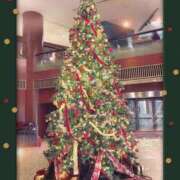 ヒメ日記 2025/12/24 16:09 投稿 榊 志乃 ELEGANCE