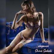 ヒメ日記 2026/01/28 11:09 投稿 榊 志乃 ELEGANCE