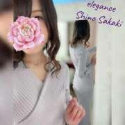 ヒメ日記 2026/04/11 14:09 投稿 榊 志乃 ELEGANCE