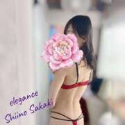 ヒメ日記 2026/04/12 14:01 投稿 榊 志乃 ELEGANCE