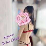 ヒメ日記 2026/04/12 14:20 投稿 榊 志乃 ELEGANCE