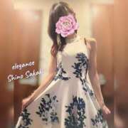 榊 志乃 お誘い感謝🌺 ELEGANCE