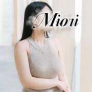 笹本 美織 11月・12月の予定につきまして🎋 ELEGANCE