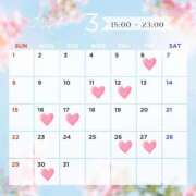 ヒメ日記 2026/02/28 22:49 投稿 月城 美鈴 ELEGANCE