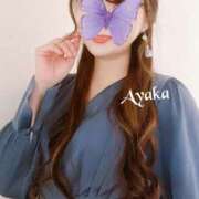 ヒメ日記 2025/08/07 16:00 投稿 椎名 綾香 ELEGANCE