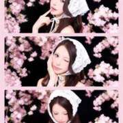 ヒメ日記 2026/04/09 18:33 投稿 あかり Versailles