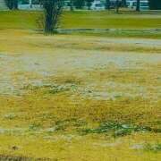 ヒメ日記 2025/03/19 12:04 投稿 かんな ミスミセス伊勢崎店