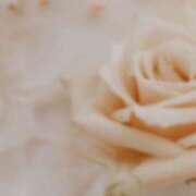 ヒメ日記 2025/07/01 12:36 投稿 るい 京都ホテヘル倶楽部