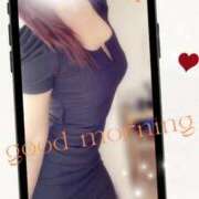 ヒメ日記 2025/03/27 09:29 投稿 るい 京都人妻デリヘル倶楽部