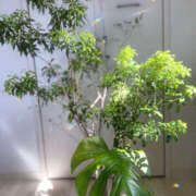 ヒメ日記 2025/04/14 13:00 投稿 るい 京都人妻デリヘル倶楽部