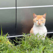 ヒメ日記 2025/04/23 14:00 投稿 るい 京都人妻デリヘル倶楽部