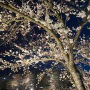 あらた 初!!🌸 丸妻 新横浜店